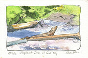 12/06/10/Elephant Seal at Goat Bay