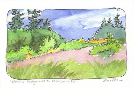 12/06/13/Hedgerows on Metchosin Rd.