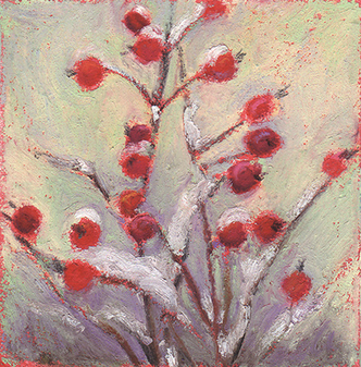 Rosehips 5