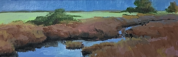 Before the Sun Came out.  Cowichan Estuary #47