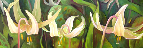 Fawn Lilies III, 2010