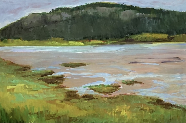 Low Tide in Front of Mt. Tzouhalem.   Cowichan Estuary #24