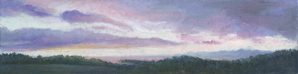 Metchosin Sky