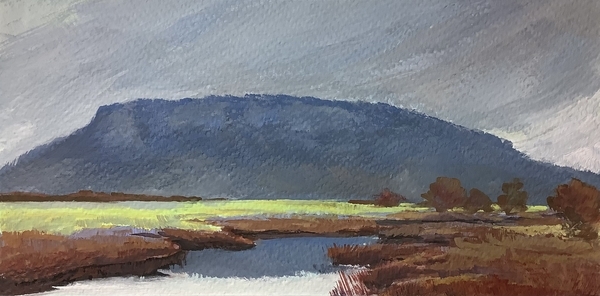 November Estuary.  Cowichan Estuary #57