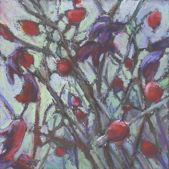 Rosehips 2