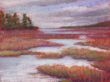 Salt Marsh 3