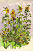 The (in)famous Sunflowers